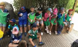 CLSH Ete 2017   063